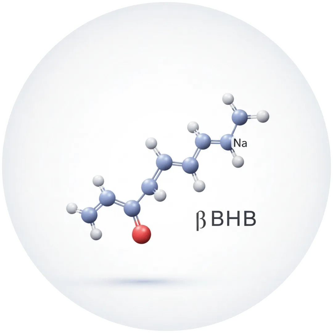 BHB Sodium, cétone exogène utilisée dans Fitness Keto